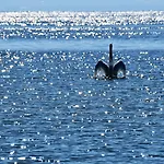 호텔 Strandhaus Eberle 이멘슈타트암보덴지
