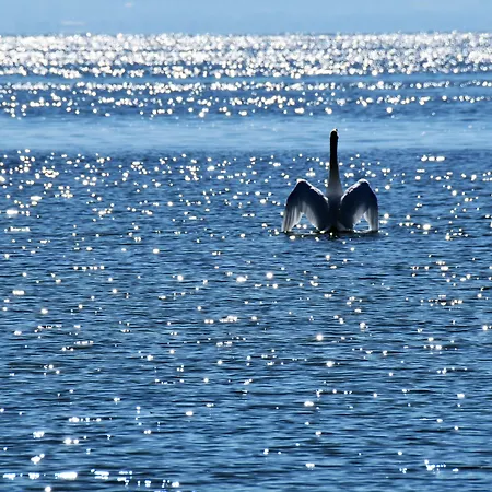 酒店 水岸埃伯尔酒店 博登斯边的伊门施塔特