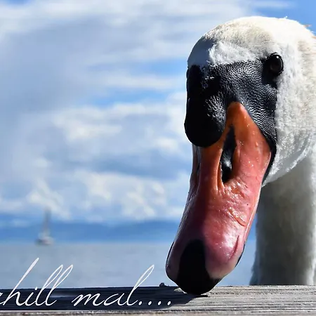 Strandhaus Eberle 3* Immenstaad am Bodensee