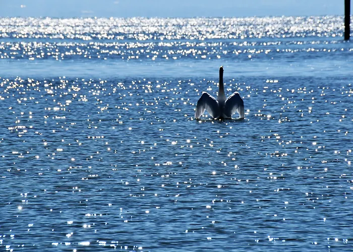 Otel Strandhaus Eberle Immenstaad am Bodensee