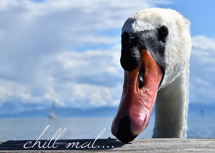 Strandhaus Eberle 3* Immenstaad am Bodensee