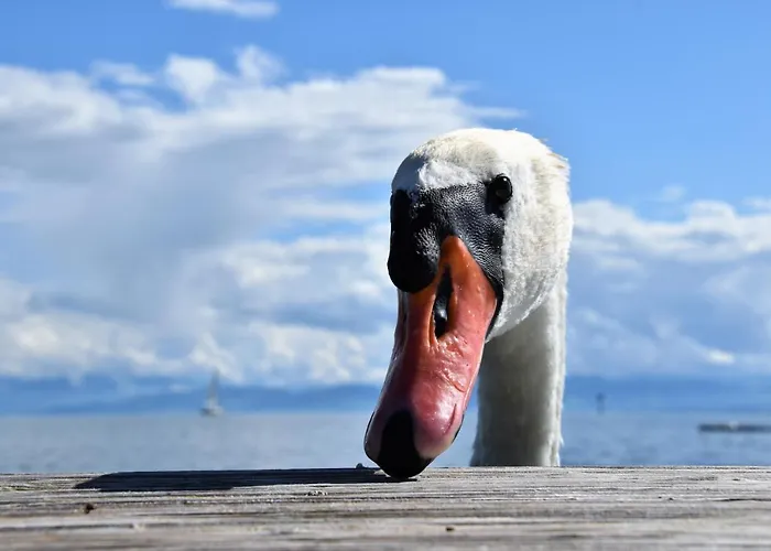 Hotell Strandhaus Eberle